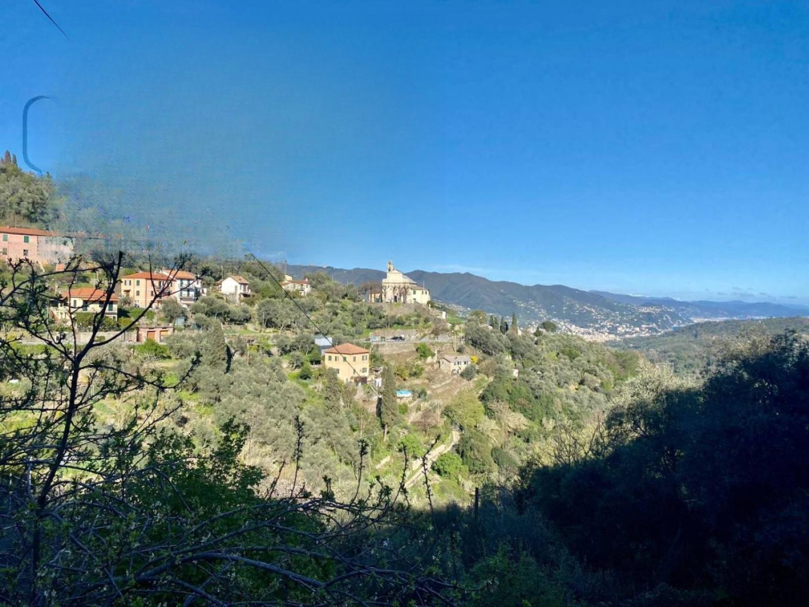Terratetto San martino di noceto 