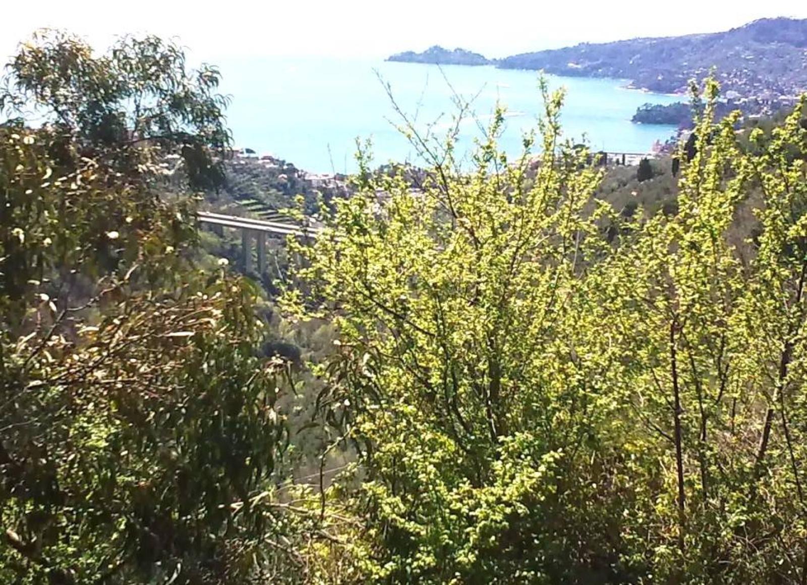 Rustico casale in vendita a Rapallo zona San maurizio - montallegro (Genova)  - rif. src